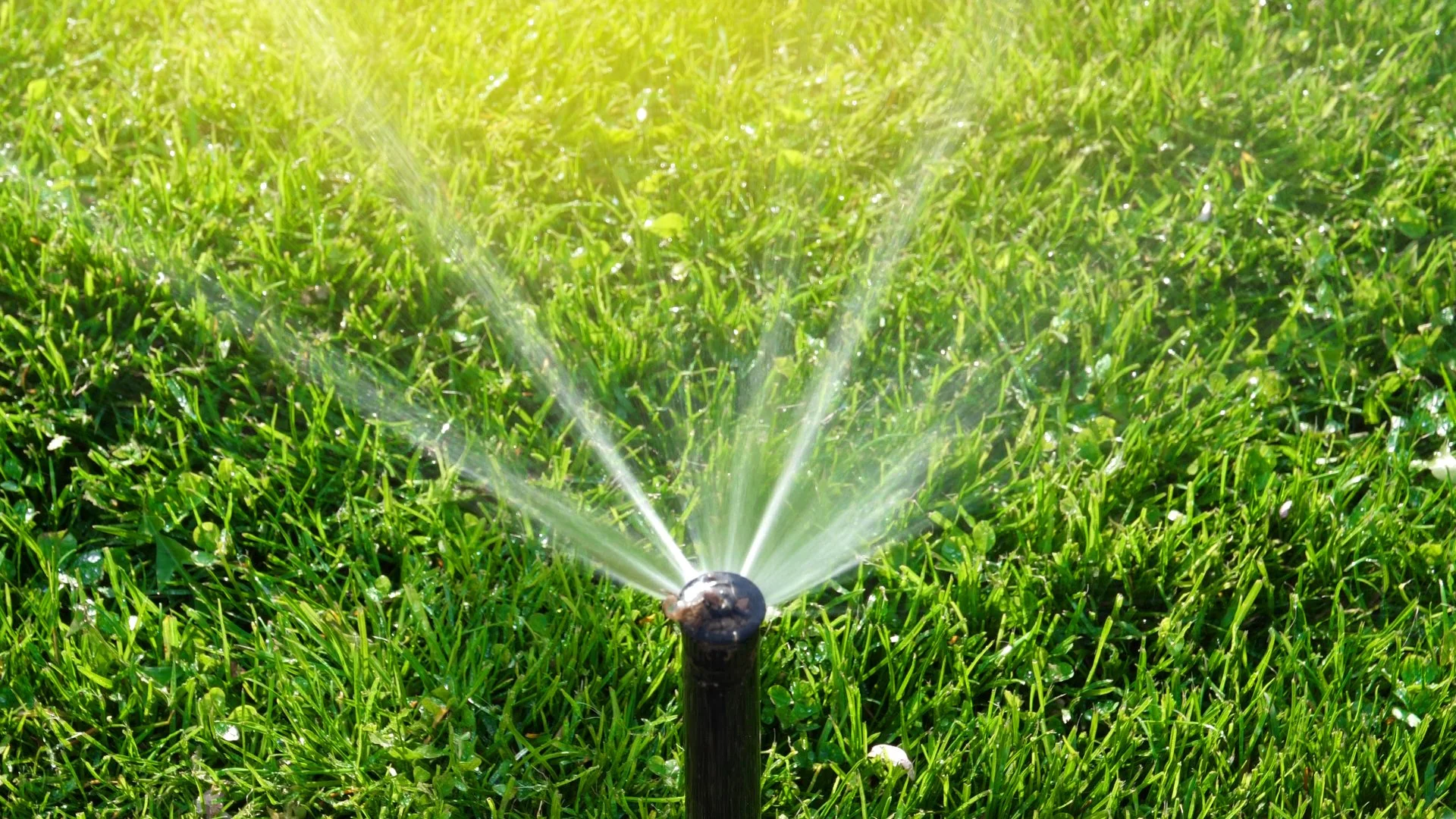 Irrigation Winterization: When Should It Be Done?