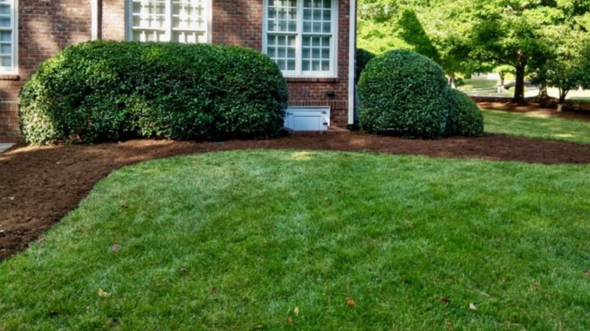 Comparing the Pros & Cons of Core Aeration