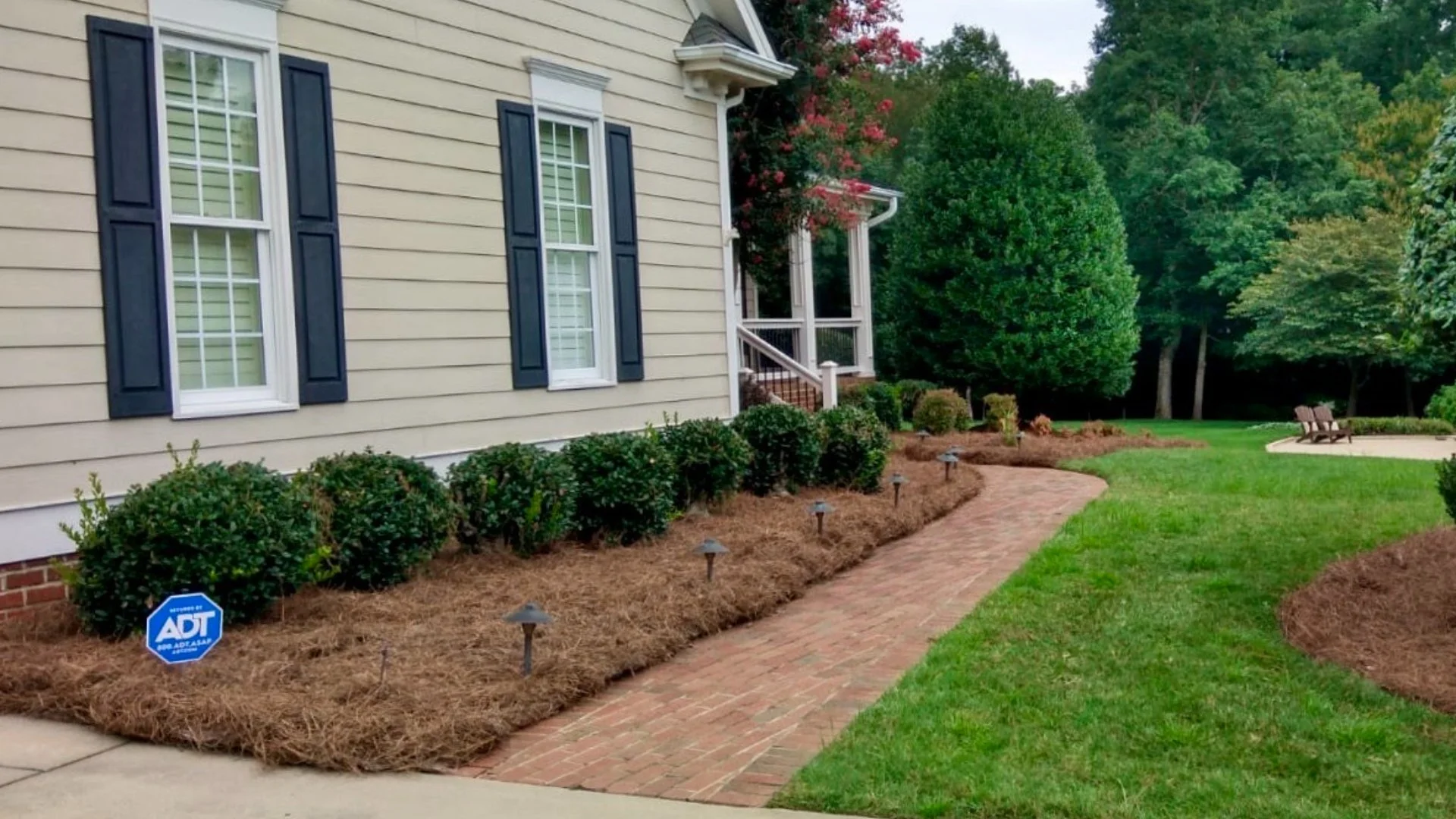 Picking the Best Plants for Your Landscape - What to Consider