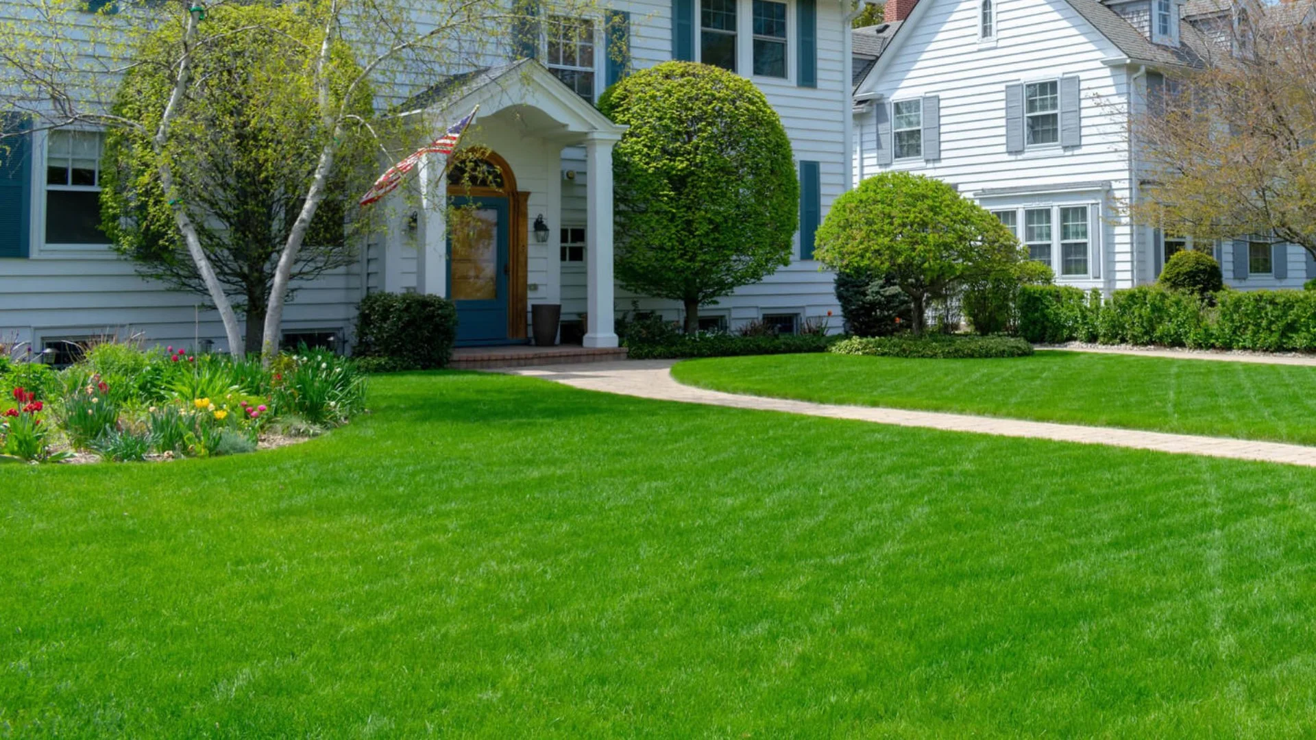 How to Reduce the Possibility of a Disease Infecting Your Lawn