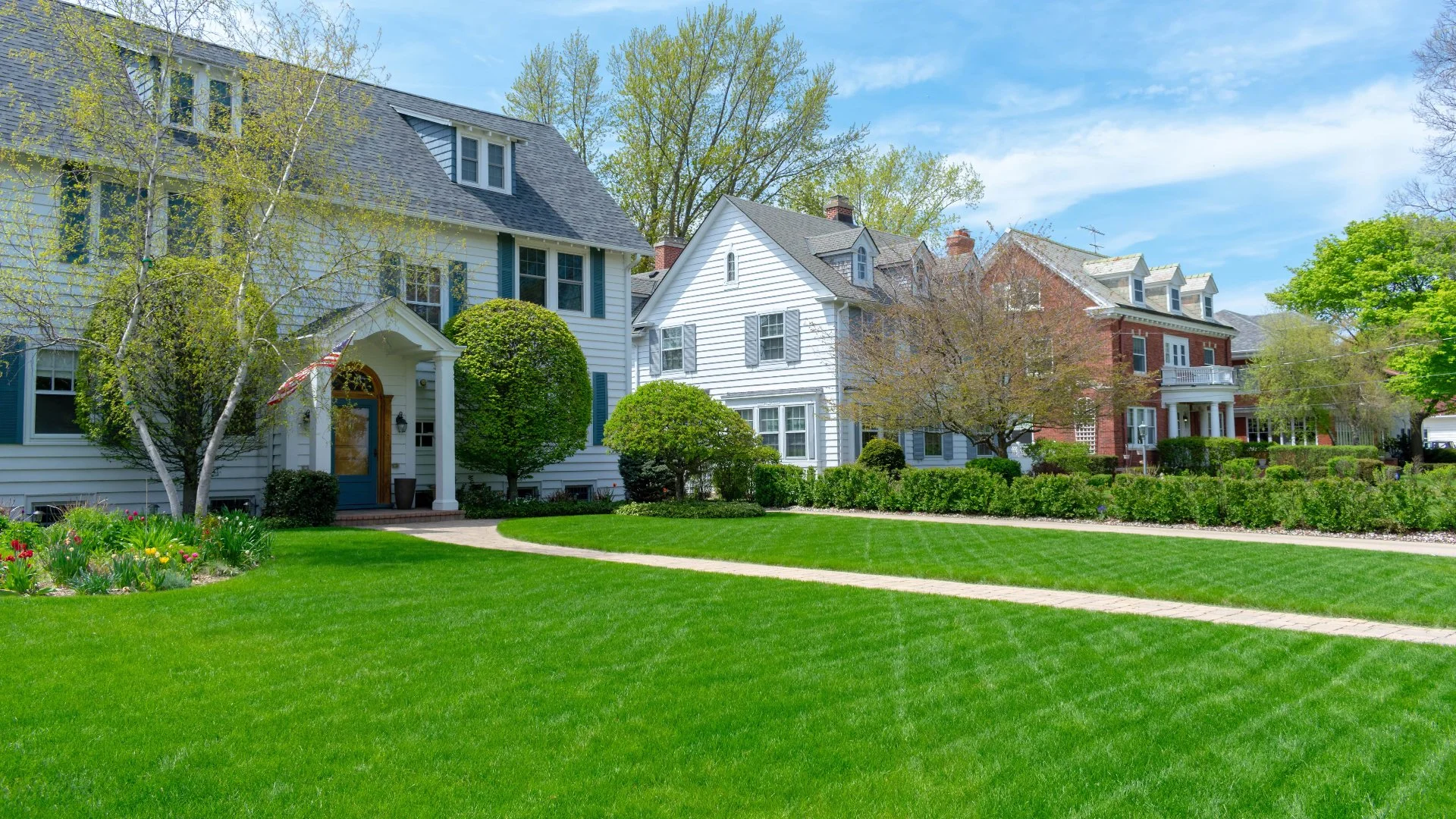 How Should You Care for a Newly Overseeded Lawn?