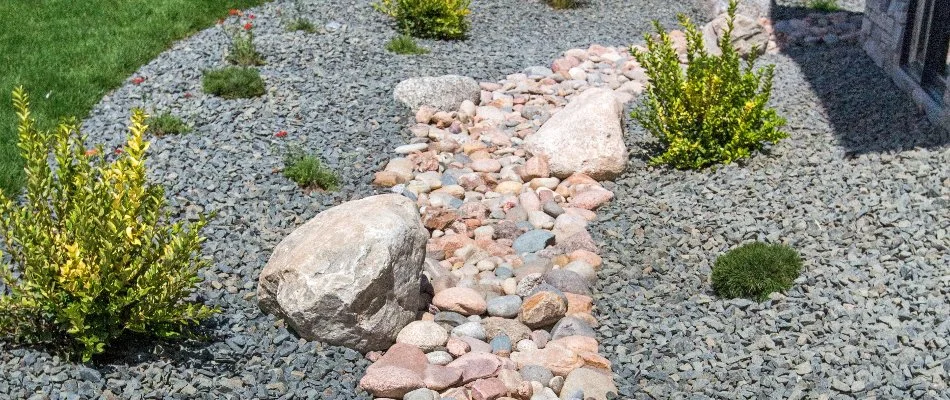 Rocks, stones, and plants of a dry creek bed in Cary, NC.