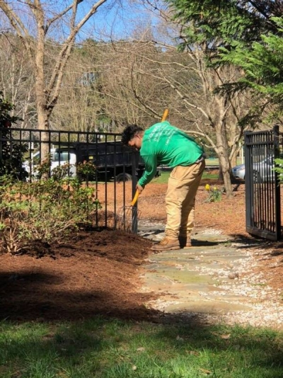 Pine straw mulch service.