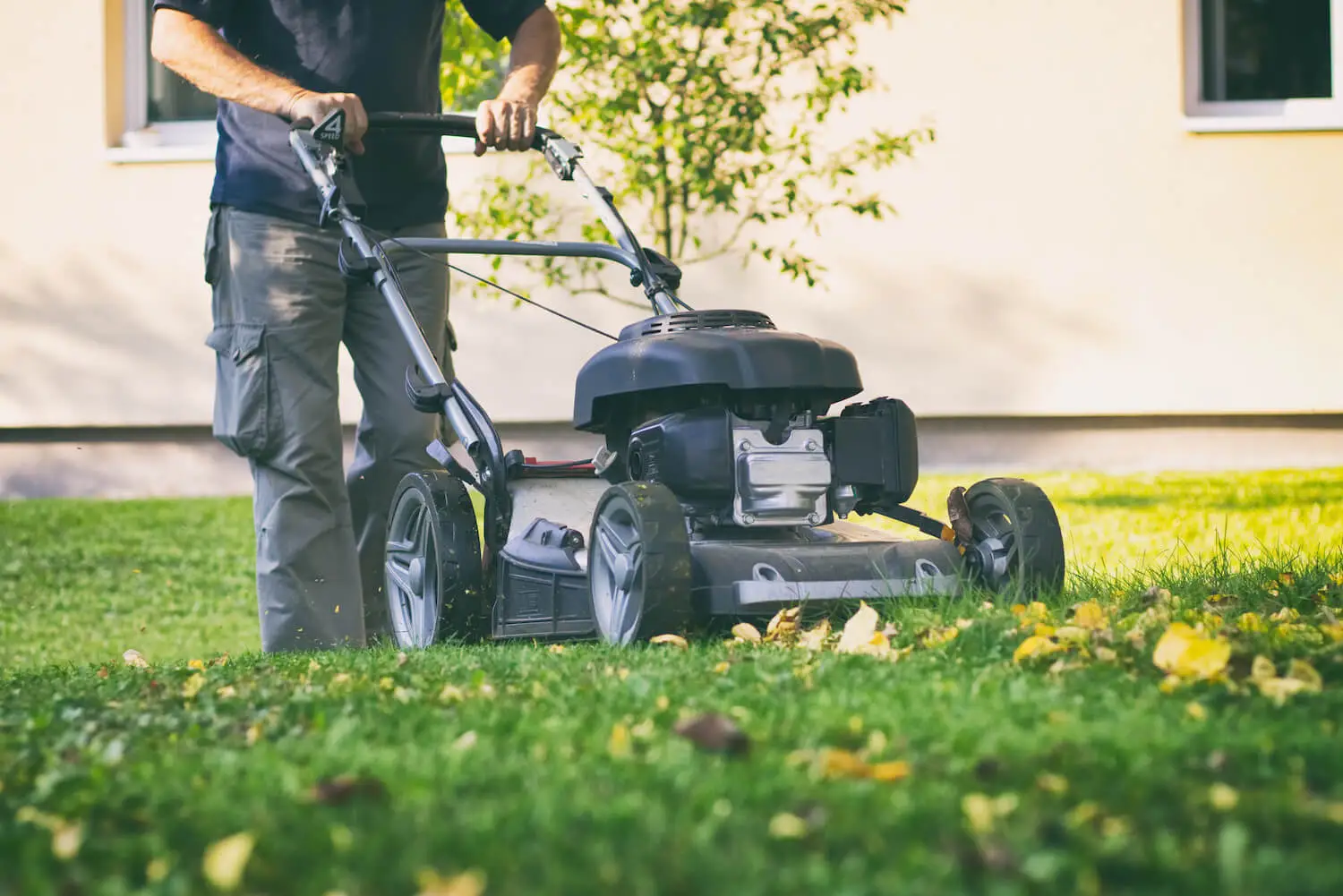 Fall Lawn Care Tips