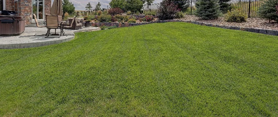 Backyard lawn with green grass and patio in Hillsborough, NC.