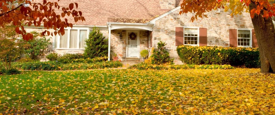 A lawn in the fall that is filled with leaves.