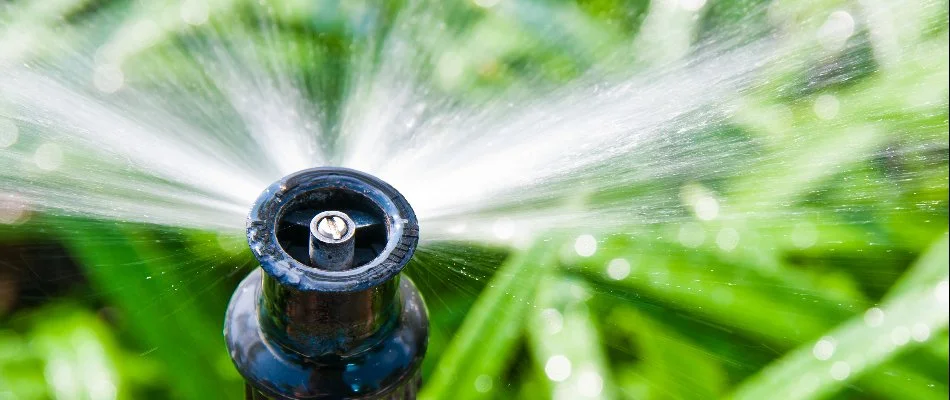 Close-up of a sprinkler head in Cary, NC, spraying water.