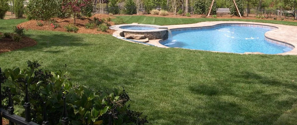 Green grass next to a pool and landscape in Cary, NC.