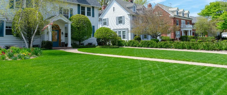 A green lawn in front of a house in Cary, NC.