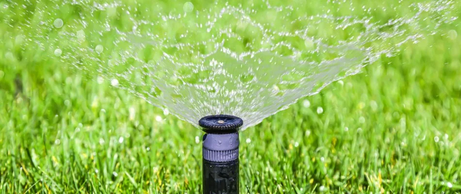 Black irrigation sprinkler head spraying water on lawn in Cary, NC.