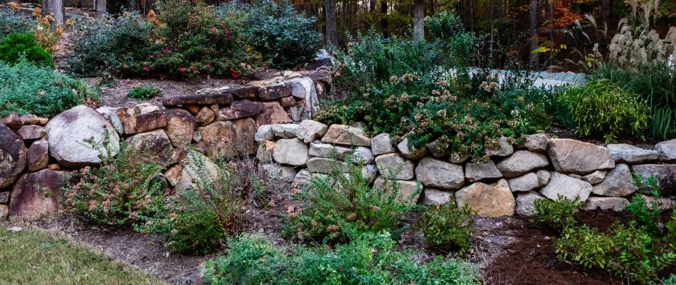 Landscape bed in New Light, NC, with plants and a boulder wall.