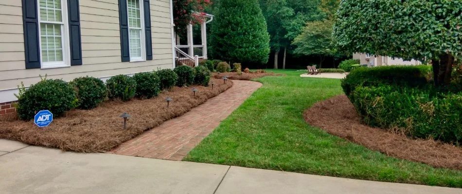Landscape beds around a walkway with pine straw in Cary, NC.