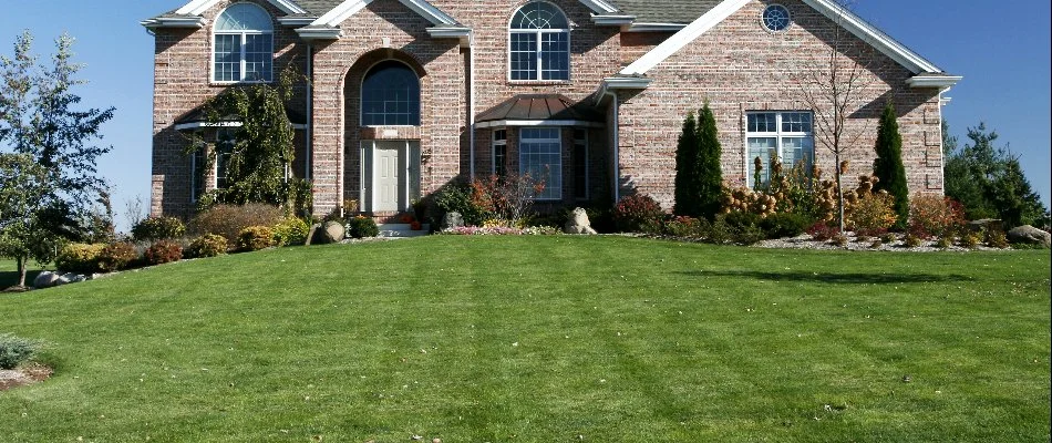 A lawn in the spring in Cary, NC.