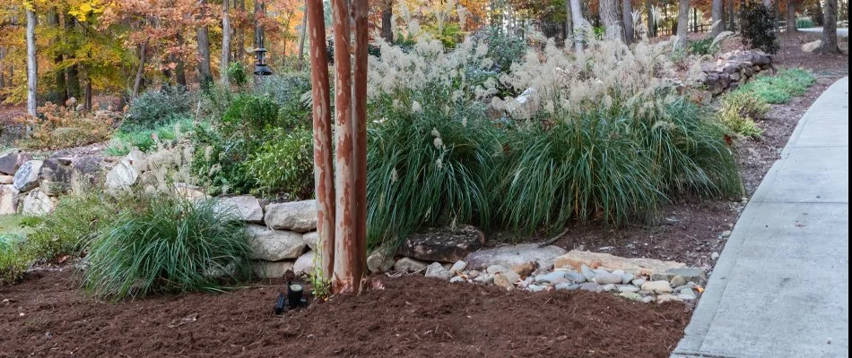 Ornamental grasses, plants, and mulch along a rock wall in Cary, NC.