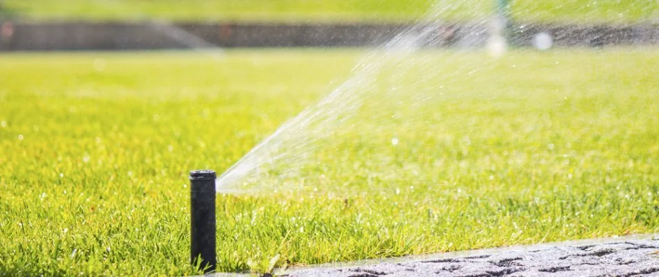 Sprinkler head spraying water over a lawn in Holly Springs, NC.