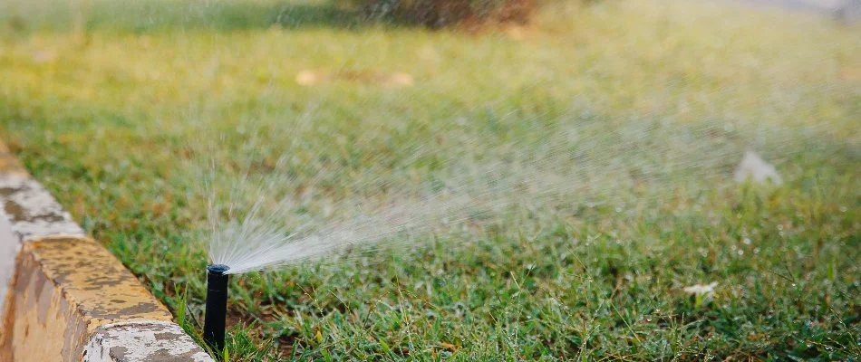 Sprinkler head watering a green lawn in Apex, NC.