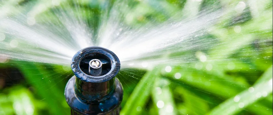 A sprinkler irrigation head in Durham, NC, spraying water on grass.