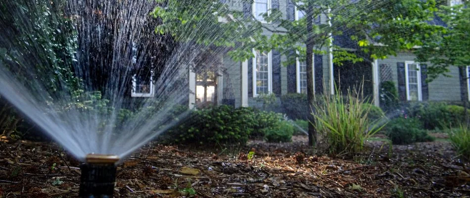 Sprinkler spraying water on landscape in Carrboro, NC.