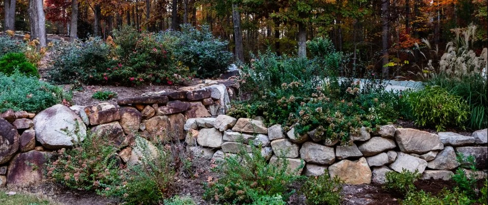 Plants above a retaining wall on a property in Chapel Hill, NC.