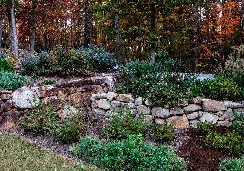 Landscape bed with green shrubs and retaining wall.