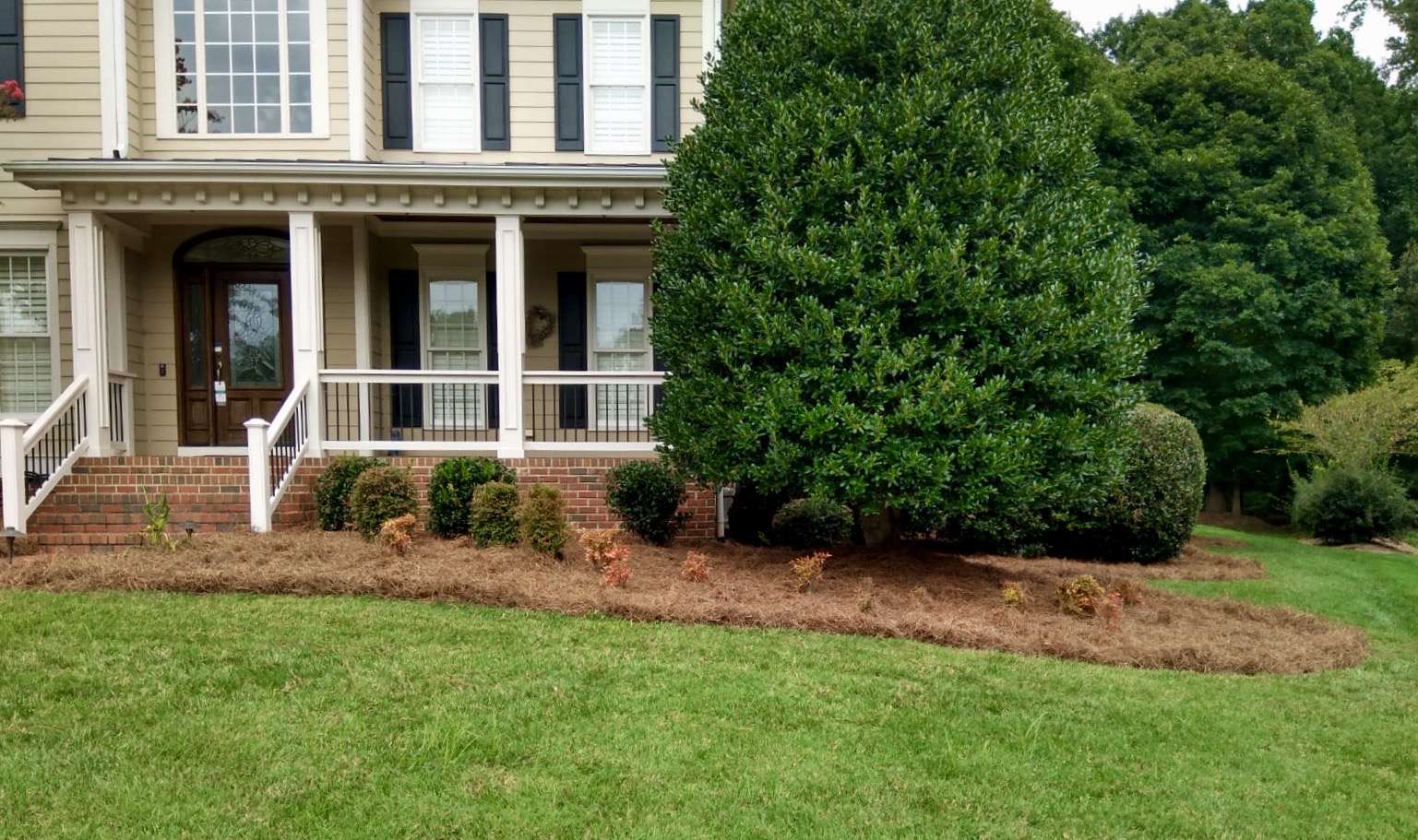 Agape Lawn Company Chapel Hill-Lawn Improvement-Landscaping Services Near Me