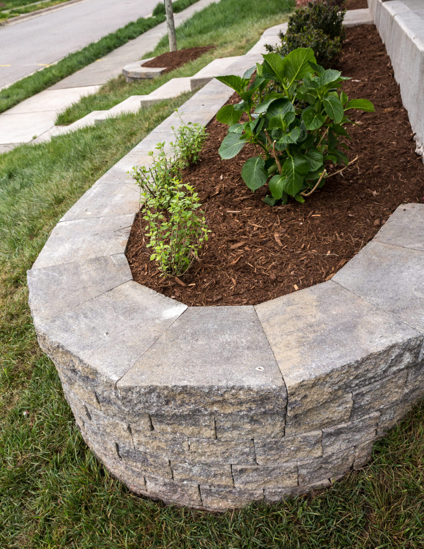 Agape-Lawn-Company-Raised-Plant-Bed-Raleigh-Landscaping-Services-scaled