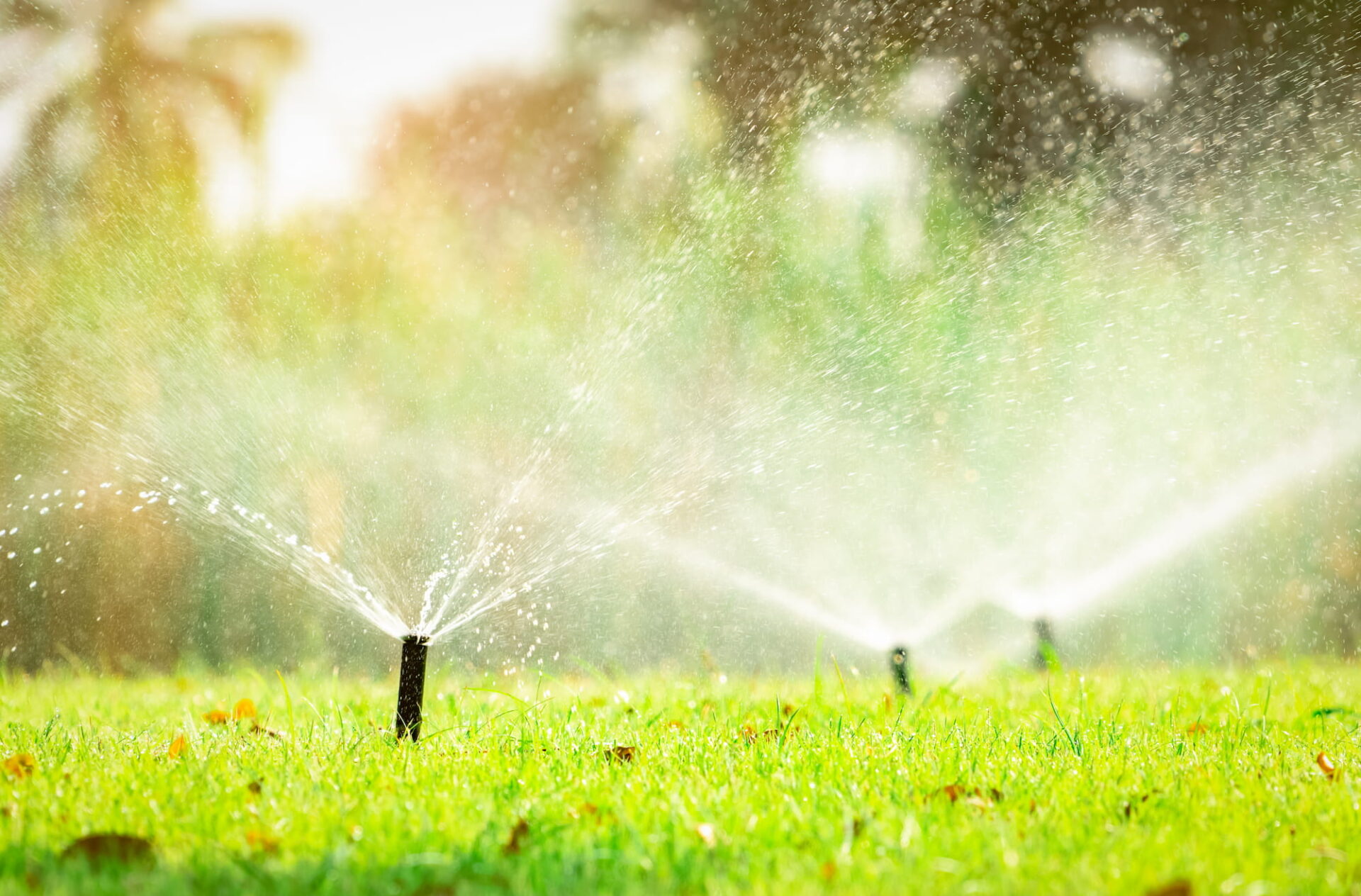The top rated irrigation company in Raleigh, NC helps keep your grass lush and green.