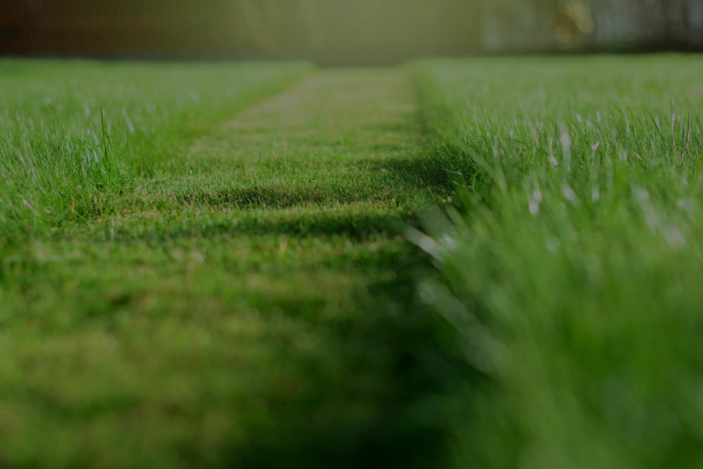 lawn-care-background-3-1024x683