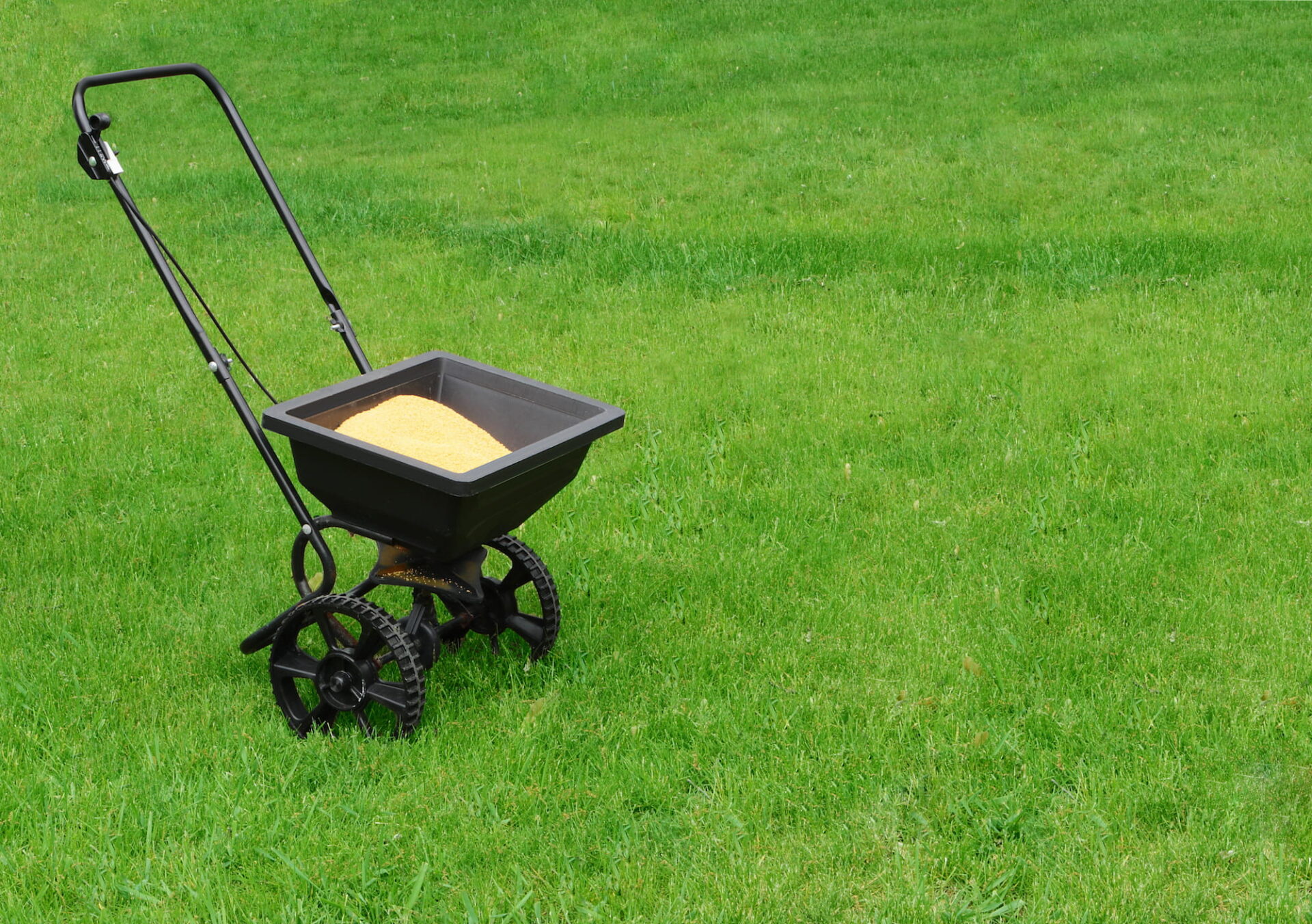 A tool used to spread fertilizer on the lawn.