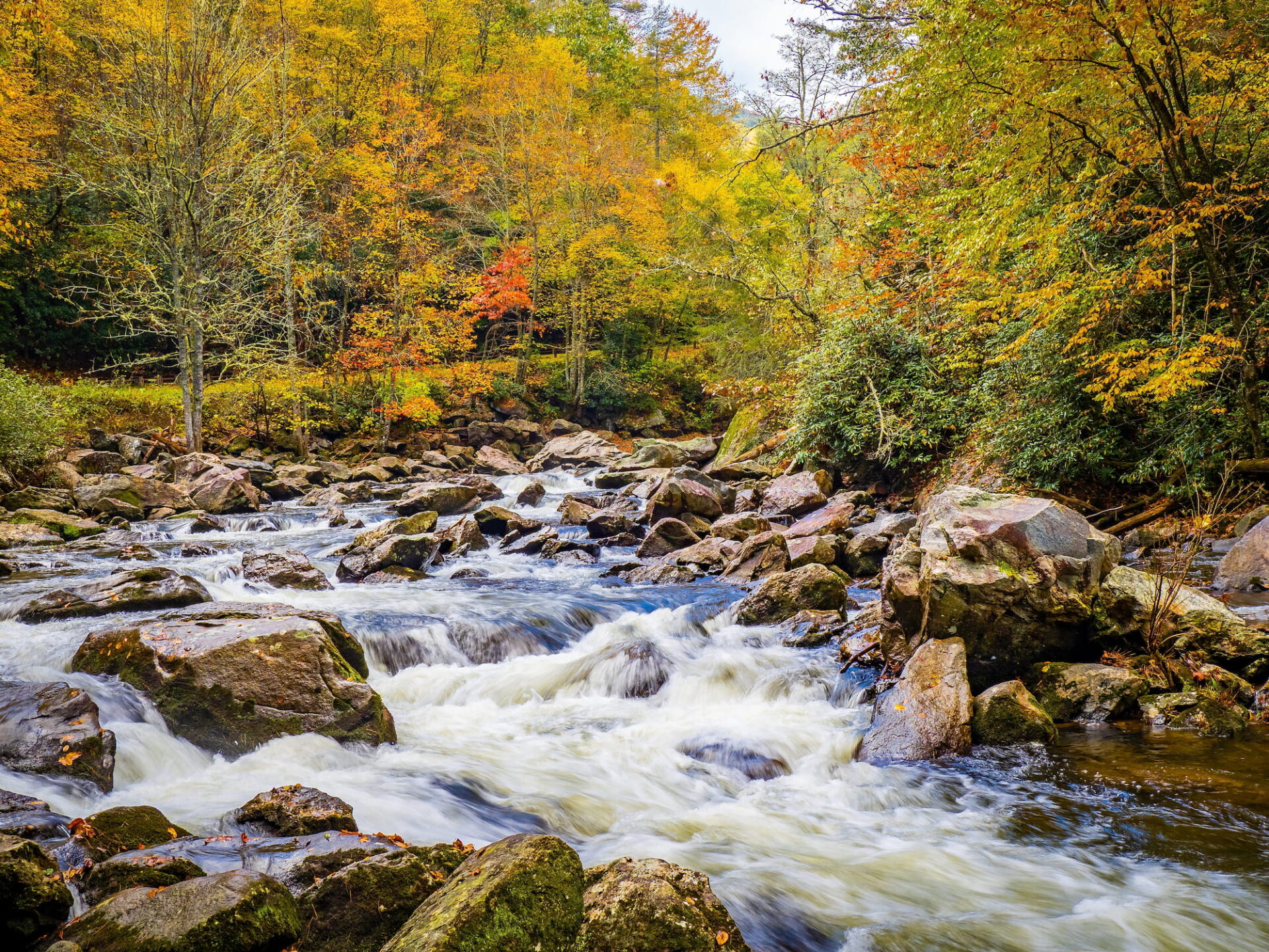 Nantahala National Forest in Franklin County, NC