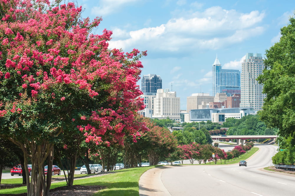 The summer skyline of Raleigh, NC